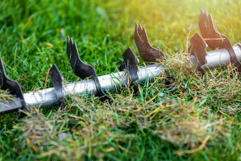 Residential Lawn Aeration Service