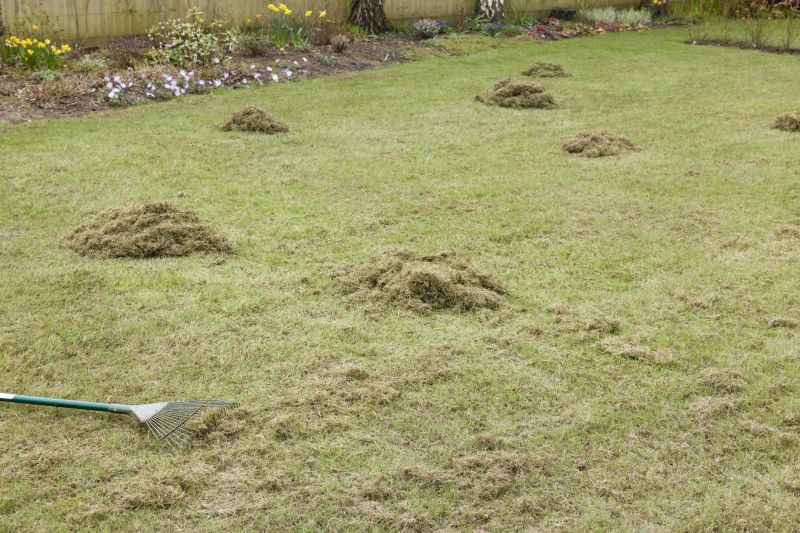 Cost of Dethatching Service — Cost of Dethatching Service