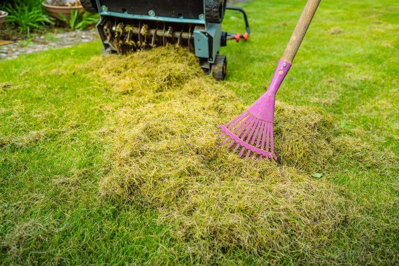 Dethatching Equipment in Action