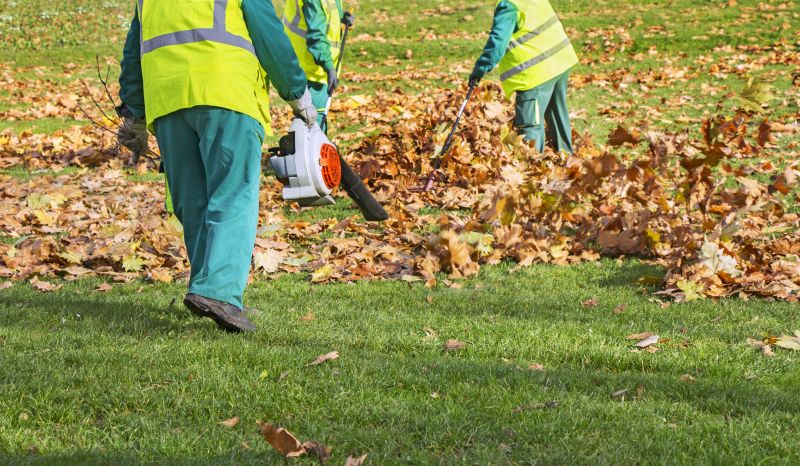 Professional Equipment for Leaf Removal
