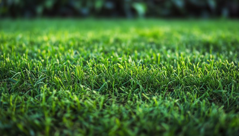 Sod Replacement in Ventura County, CA